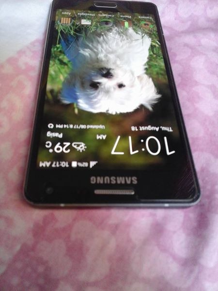 Samsung A5 2015 A500F photo